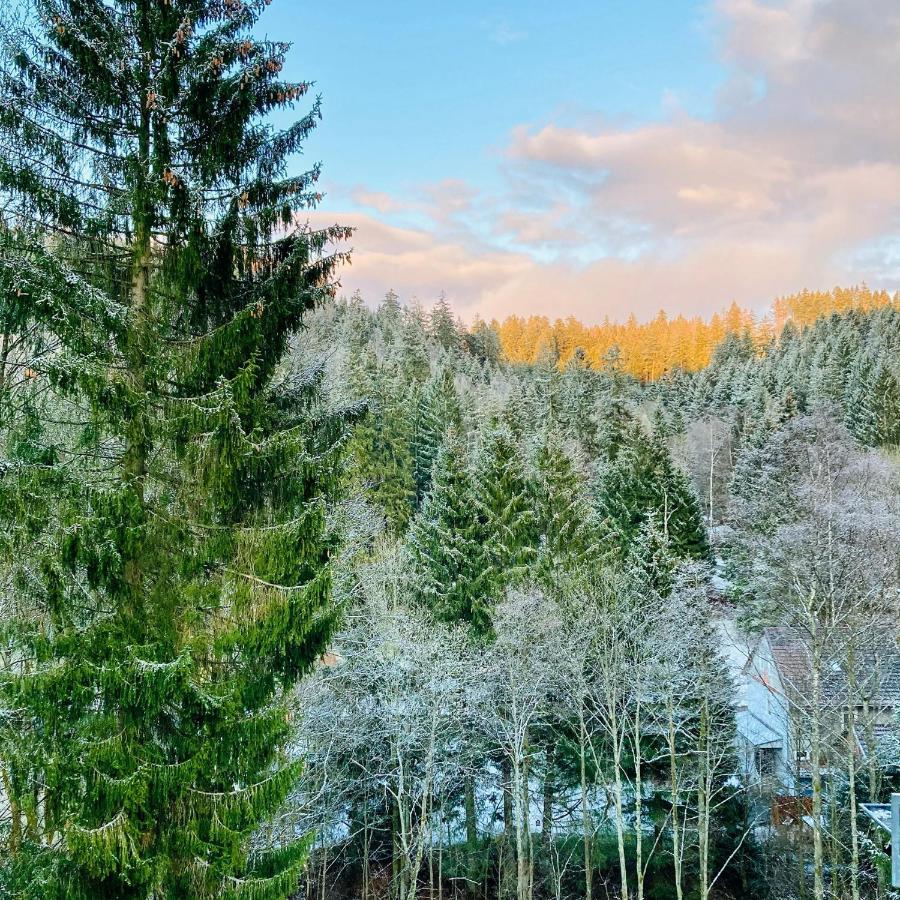 B&B Am Oker, Altenau, Harz Альтенау Экстерьер фото